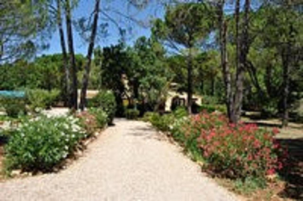 La Maison De La Cigale Forcalqueiret Esterno foto