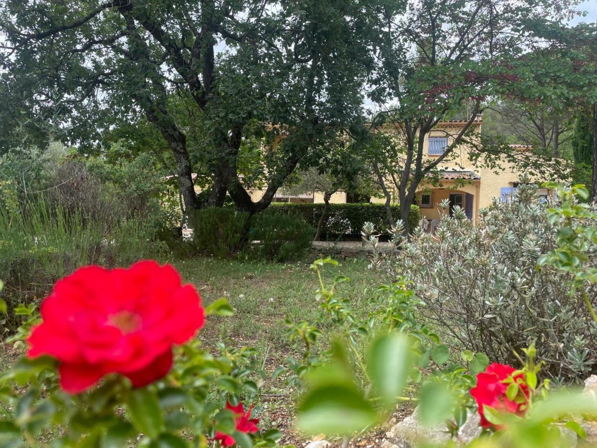 La Maison De La Cigale Forcalqueiret Esterno foto